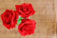 Three Valentine’s Day Centerpieces - The Semi Organized Ant